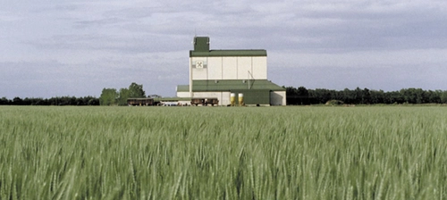 Ari Wegner on Time of the Wolf (2003)