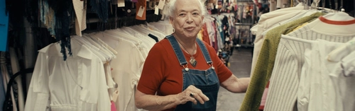 The Specialists: Palace Costume