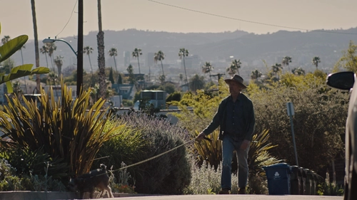 Mike Mills: Eternally Punk